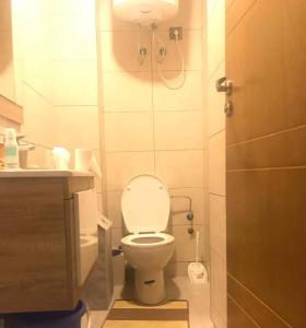 La petite salle de bains est pourvue d'une douche et de toilettes. dans l'établissement Bel Appartement pour vacances, à Sidi Rahal