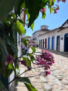 a plant with purple flowers on a cobblestone street at Casa Surya Paraty in Paraty