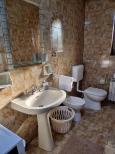 een badkamer met een wastafel en een toilet bij Amore Koper in Koper
