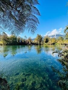 a view of a river with trees in the background at Cabañas Kuyén Austral in Hornopiren