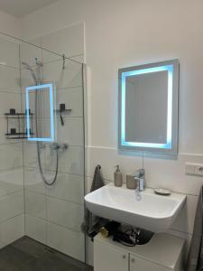 ein Bad mit einem Waschbecken und einer Dusche mit einem Spiegel in der Unterkunft Luxuriöses Apartment für 4 Personen, Neubau, Parkplatz free in Bochum