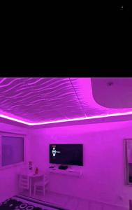 TV a/nebo společenská místnost v ubytování Bron centre appartement meublé avec jacuzzi