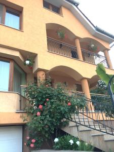 Balkón nebo terasa v ubytování Casa Teodora