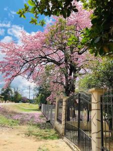 un árbol con flores rosas detrás de una valla en Casa de campo - Ruta Turquesa, en El Naranjo
