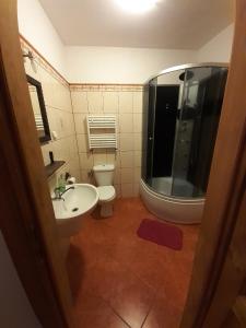 a bathroom with a toilet and a sink and a shower at Villa Stare Osieczno in Stare Osieczno