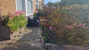 Zahrada ubytování Guesthouse Zandvoort