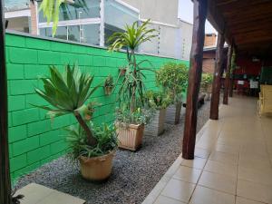 una fila de macetas contra una pared verde en Casa para sua família en Bonito