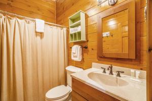 a bathroom with a toilet and a sink and a mirror at Platte Lake Paradise in Beulah +26 photos