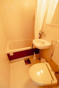 a bathroom with a toilet and a sink and a tub at ペンションminiモンゴル in Makito