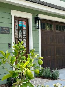 a green house with a wooden door and a tree at New Construction Cottage in Downtown Savannah Arts District in Savannah