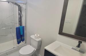 a bathroom with a toilet and a sink and a shower at Lake-Walk House in Hamilton +7 photos