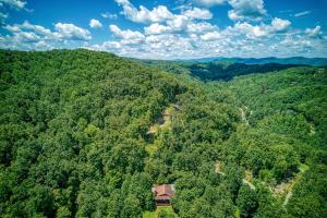 an aerial view of a forest with a house in the middle at The Nuthouse II, Pool Table, WIFI, 685 FREE tickets each paid day!!! in Sevierville