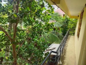 a porch with a bench and a tree at Entire 4 Bedroom villa in Trivandrum