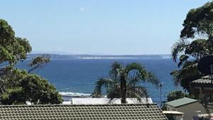 a view of the ocean with a palm tree at Lighthouse Palms in Ulladulla