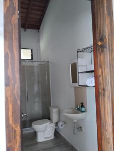 a bathroom with a toilet and a sink at Encanto cafetero quimbaya in Quimbaya