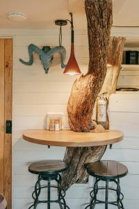 un tavolo e due sgabelli accanto a un albero di Ashley's Treehouse at El Mistico a Nogal