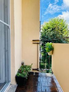a balcony with a gate and potted plants at Little cute homey apartman in Satu Mare