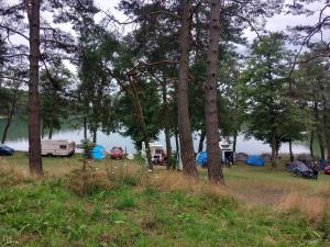 a group of tents in a field with trees at Pole namiotowe - namiot do wynajęcia - Kurka Wodna !!! in Mikołajki
