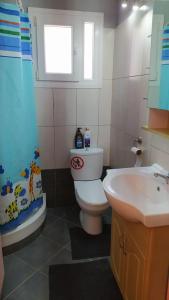 La salle de bains est pourvue de toilettes et d'un lavabo. dans l'établissement Σουίτα στην εξοχική βίλλα Δημήτριος Τάκης ., à Ioannina