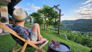 a woman sitting in a chair with two glasses of wine at Vineyard cottage Podržaj in Otočec