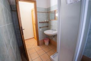 y baño pequeño con lavabo y ducha. en Agriturismo Zugarelli, en Anguillara Sabazia