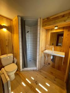 een badkamer met een toilet, een douche en een wastafel bij Chalet en cascade Les Angles vue Panoramique in Les Angles