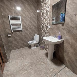 y baño con aseo y lavamanos. en Hostel Divan, en Ereván