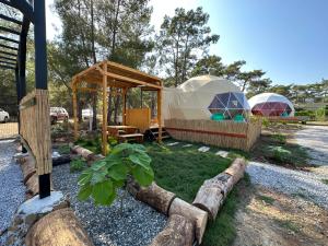 a couple of tents in a yard with a plant at Pavlonyaguestfarm in Marmaris