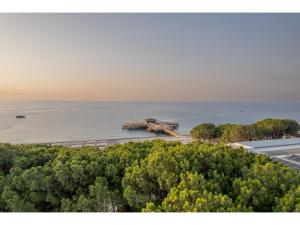 an aerial view of a dock in the water at Swandor Hotels & Resorts - Kemer in Kemer