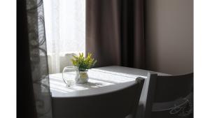 Foto dalla galleria di Апартаменти и Студиа Алекса Созопол Apartments and Studios Alexa Sozopol a Sozopol