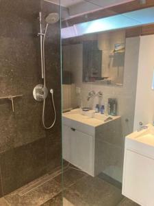 a bathroom with a glass shower and a sink at Tuinhuis aan het water in Voorburg