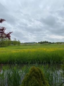a field of grass and flowers on a cloudy day at La Luna - Desi in Heerhugowaard