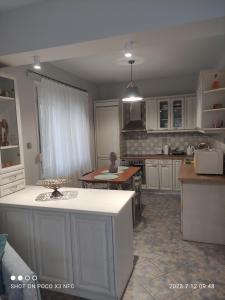 una cocina con una isla en el medio. en Garden house, en Palaión Tsiflíkion