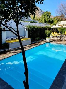 une piscine bleue avec un arbre au premier plan dans l'établissement Fleur du Soleil Luxury Guesthouse, à Franschhoek