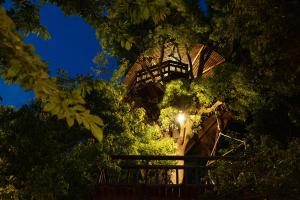 a tree house in the trees at night at Villa Yumigahama in Minamiizu +119 photos