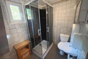 a bathroom with a shower and a toilet and a sink at Penzion Tereza in Telnice
