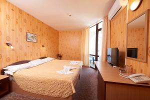 TV a/nebo společenská místnost v ubytování Hotel Smolyan