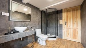 een badkamer met een wastafel, een toilet en een spiegel bij Dom Tatrzański Ewa in Kościelisko +94 foto's