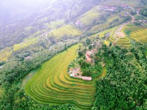 uma vista aérea de um conjunto de campos com terraços em Lagom Su Phi Retreat em Hoàng Su Phì