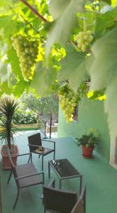 a patio with chairs and tables and a bunch of grapes at Refugio La Presa in Chulilla
