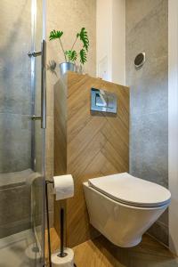 a bathroom with a toilet and a shower at W Kaszubskim Lesie Borsk in Borsk