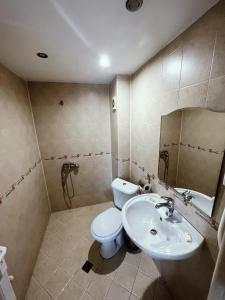 a bathroom with a toilet and a sink at Zasheva Kushta Guesthouse in Bansko