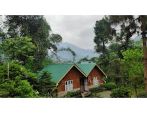 ein Haus mit einem grünen Dach im Wald in der Unterkunft Cherry Village Resort, Pelling, Sikkim in Pelling
