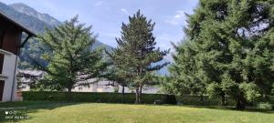 a yard with trees in front of a house at appartement T1bis St Lary soulan village in Saint-Lary-Soulan