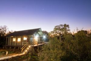 a cabin in the woods at night with lights at Nkuhlu Tented Camp in Skukuza