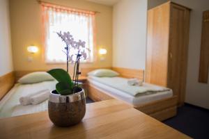 Postel nebo postele na pokoji v ubytování B&B Bau