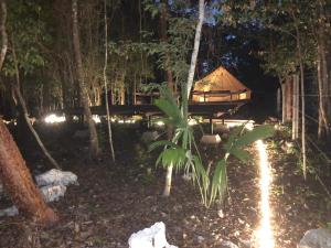 una tienda en medio de un bosque por la noche en Cozumel Glamping, en Cozumel