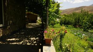 Zahrada ubytování Arpi-Ureni Guesthouse