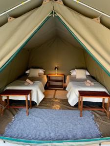 Tienda con 2 camas y alfombra azul en Kuvira River Camp en Divundu