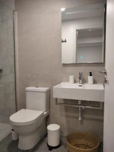 ein Badezimmer mit einem WC, einem Waschbecken und einem Spiegel in der Unterkunft Sun Hill Apartment in Santa Cruz
